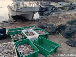 Возле Геническа водные патрульные обнаружили браконьеров с крупным уловом