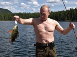 Зеленский копирует Путина? СМИ нашли семь доказательств. Видео