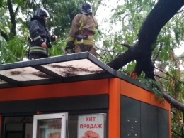 Потоп в Одессе: сегодня коммунальщики и спасатели борются с последствиями, - ФОТО