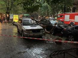 Последствия непогоды: в Одессе повалены десятки деревьев, оборваны линии электросетей, повреждены машины (обновлено)