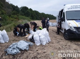 В лесополосе на Луганщине обнаружили 150 кг марихуаны