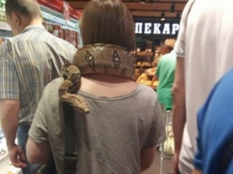 Все в ужасе, а ей по барабану: украинка ходит повсюду с огромной змеей на шее