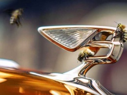 Компания Bentley занялась производством меда (ФОТО)
