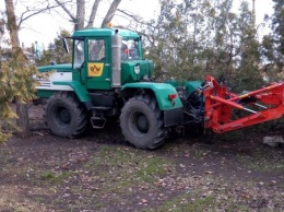 В Заводском районе Николаева с начала года снесено 52 аварийных дерева
