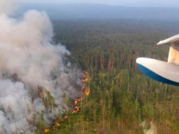 Лесные пожары в Сибири: "Ситуация в значительной степени выходит из-под контроля"