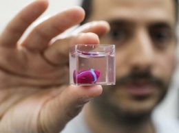 Ученые впервые напечатали на 3D-принтере компоненты человеческого сердца (ВИДЕО)