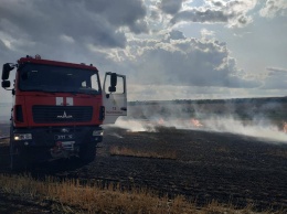 В Вознесенском районе спасатели ликвидировали пожар на открытой территории площадью 19 га (ФОТО)