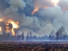 Генпрокуратура: пожарами в Иркутской области пытались скрыть незаконную вырубку деревьев