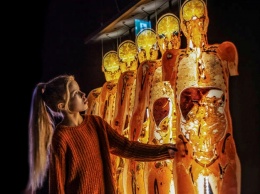 Не пропусти: в столице впервые пройдет всемирно известная выставка человеческих тел