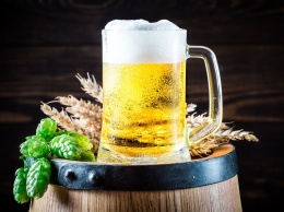 Ученые рассказали, что пиво может предотвратить некоторые болезни