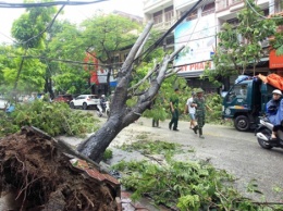 Тайфун "Вифа" во Вьетнаме унес жизни 12 человек