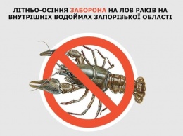 В Запорожской области вступает в силу запрет на ловлю раков