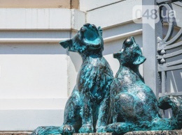 Как в Одессе жалуют милых пушистиков: 21 памятник котам, - ФОТО