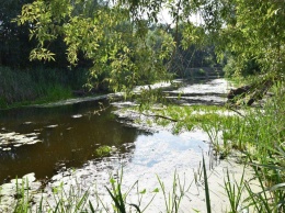 На острове Масальском расчистят реку (фото)