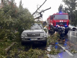 Непогода в столице: деревья падали на авто и трамвайные пути, пострадавших нет