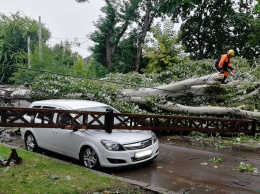 Массовое падение деревьев и поврежденные крыши. Спасатели Николаевщины уже 20 раз приходили на помощь гражданам (ФОТО)