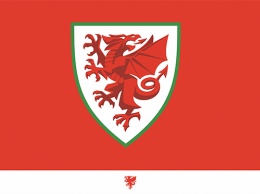 Футбольная ассоциация Уэльса представила новую эмблему