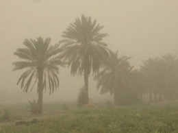 В Иране из-за песчаной бури пострадали сотни людей