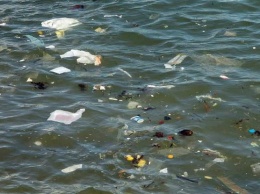 В Черном море за 150 километров от берега встречается много мусора