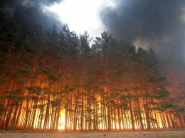 Из-за лесных пожаров в Греции эвакуировали тысячи туристов