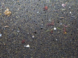 Созданы магнитные «нанокатушки», разрушающие пластик в океане