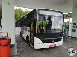 В сети показали запорожский автобус, который собирают для Польши