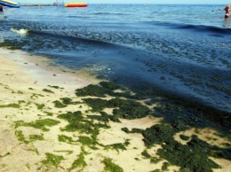После непогоды в Черное море попали тонны нечистот