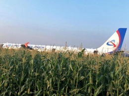 Появилось видео посадки самолета Airbus A-321 в подмосковном поле