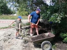 В Дарницком районе на месте свалки высадили цветы и деревья. Фото