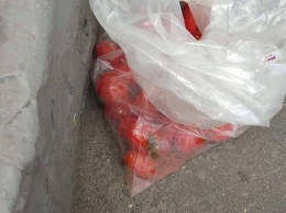 Забросали помидорами, облили зеленкой: в Мариуполе с позором встретили освобожденного террориста