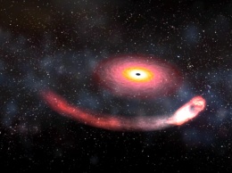 Физики сообщили о регистрации гравитационных волн, созданных падением в черную дыру нейтронной звезды
