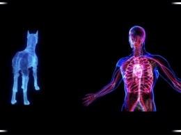 Verisim Life создаст биосимуляторы на базе ИИ, чтобы прекратить испытания лекарств на животных