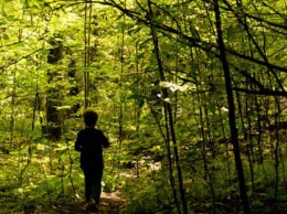 Пропавшего 6-летнего мальчика нашли в лесопосадке под Днепром, - ФОТО