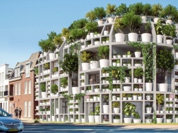 В Нидерландах построят жилой дом со стенами из комнатных растений