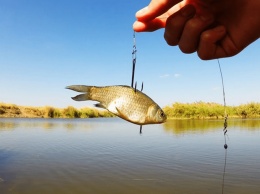 Виртуоз рыбалки из Днепра рассказал про свой самый гигантский улов