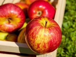Яблочный Спас 2019 - традиции, приметы и поздравления