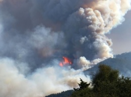 Запад и юг Турции охватили лесные пожары