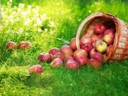 Яблочный Спас 2019: история и приметы праздника