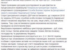 ГБР: Харьковские лесники вырубили ценные породы древесины на 24 млн. грн