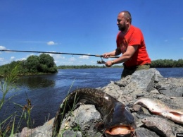 В Черном море запретили ловить рыбу: и это только начало