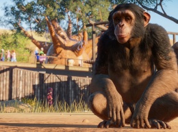 Осенью авторы симулятора зоопарка Planet Zoo проведут бета-тест для предзаказчиков