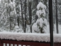 В Канаде прошел обильный снегопад: выпало полметра снега