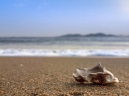 За песок из пляжа туристам грозит до шести лет