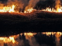Из-за туриста загорелся национальный парк