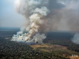 Семь штатов Бразилии обратились за помощью в тушении пожаров в Амазонии