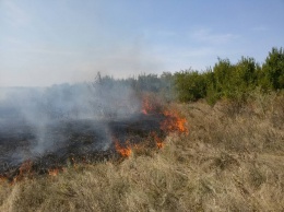 Лес и не только: на Николаевщине за сутки выгорело 32,5 га открытых территорий (ФОТО)