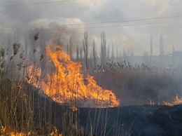 За сутки в Одесской области спасатели потушили 16 пожаров