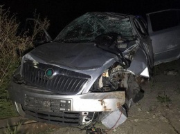 При въезде в Кривой Рог Шкода перевернулась несколько раз - водитель скончался спустя несколько часов после ДТП в больнице (фото)