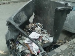 В Запорожье сжигают мусорные контейнеры