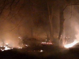 На Закарпатье произошел масштабный пожар: Горели кустарники, виноградники и лес